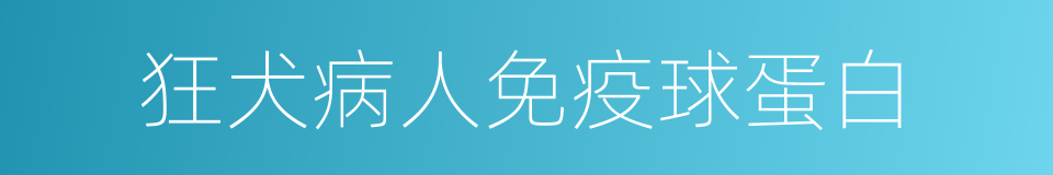 狂犬病人免疫球蛋白的同义词