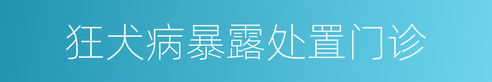 狂犬病暴露处置门诊的同义词