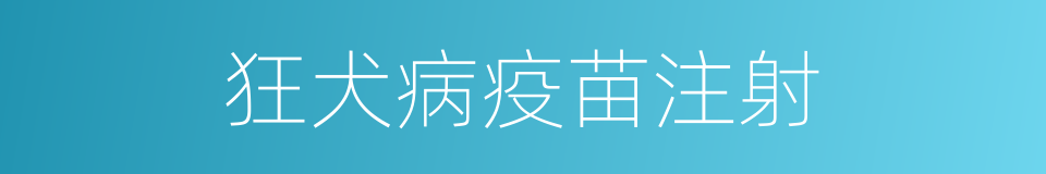 狂犬病疫苗注射的同义词