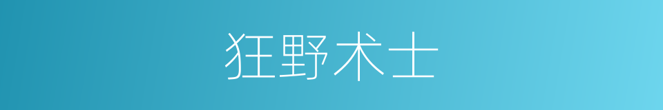 狂野术士的同义词