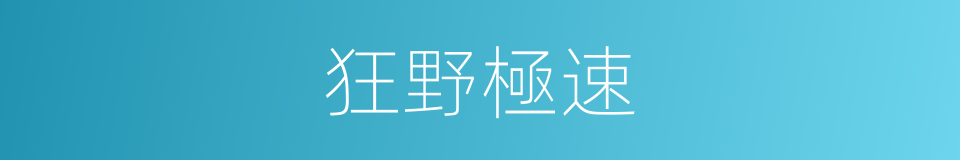 狂野極速的同義詞