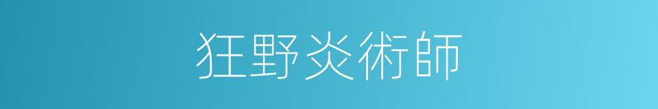 狂野炎術師的同義詞