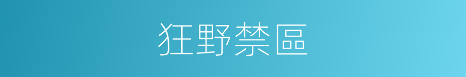 狂野禁區的同義詞