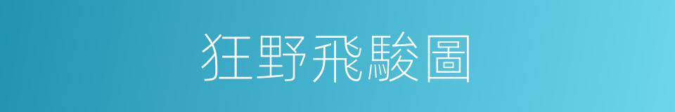 狂野飛駿圖的同義詞