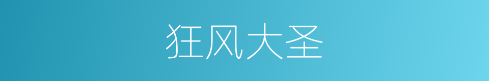 狂风大圣的同义词