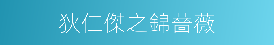 狄仁傑之錦薔薇的同義詞