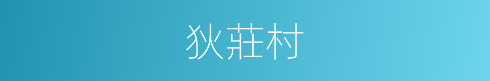 狄莊村的同義詞