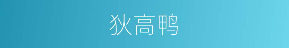 狄高鸭的同义词