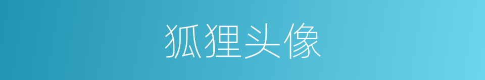 狐狸头像的同义词