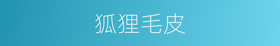 狐狸毛皮的同义词