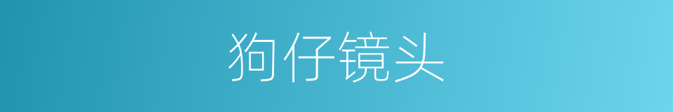 狗仔镜头的同义词