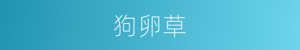 狗卵草的同义词