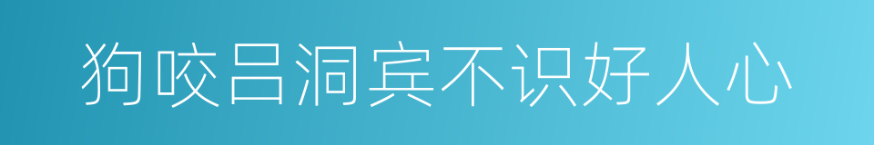 狗咬吕洞宾不识好人心的意思