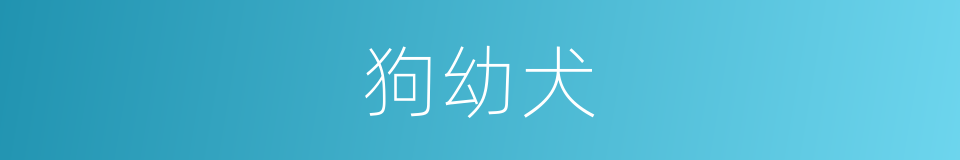 狗幼犬的同义词