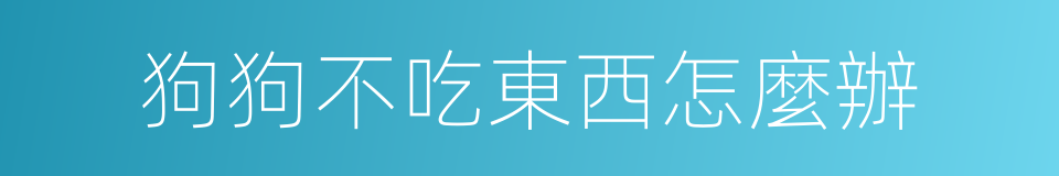 狗狗不吃東西怎麼辦的同義詞