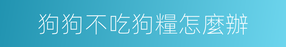 狗狗不吃狗糧怎麼辦的同義詞