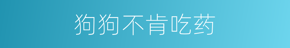 狗狗不肯吃药的同义词