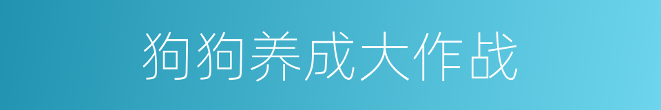 狗狗养成大作战的同义词