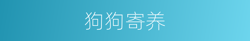 狗狗寄养的同义词