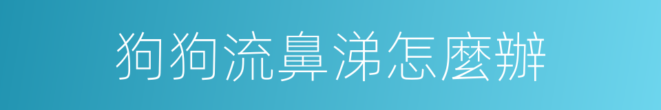 狗狗流鼻涕怎麼辦的同義詞