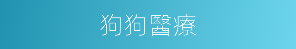 狗狗醫療的同義詞