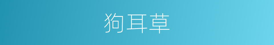 狗耳草的意思