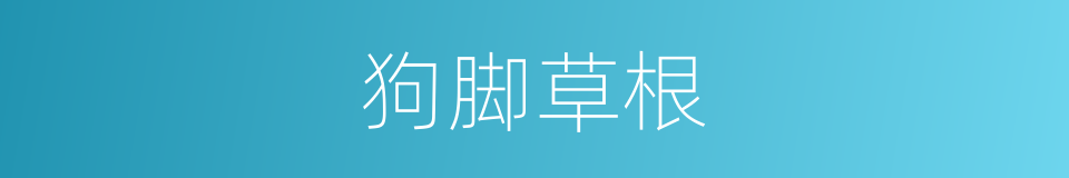 狗脚草根的同义词