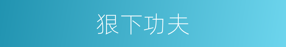 狠下功夫的同义词