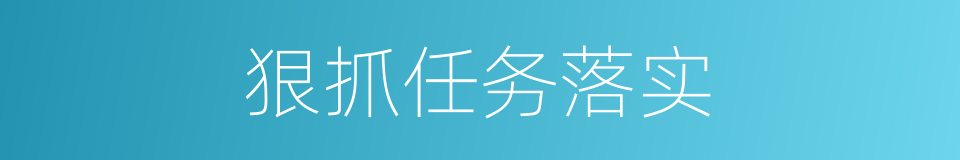 狠抓任务落实的同义词