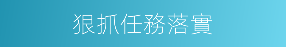 狠抓任務落實的同義詞