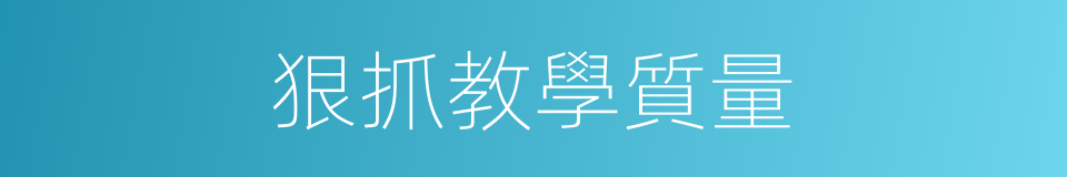 狠抓教學質量的同義詞