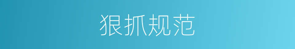 狠抓规范的同义词