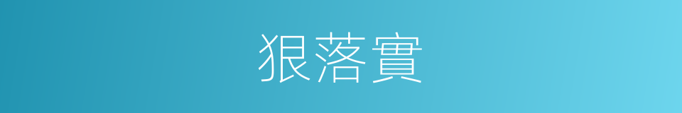 狠落實的同義詞