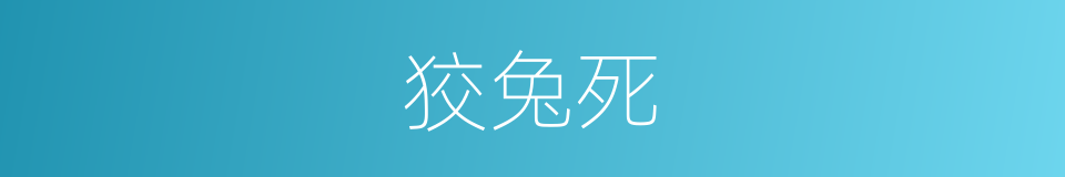 狡兔死的同义词