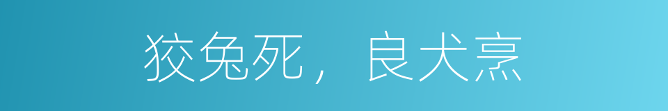 狡兔死，良犬烹的意思