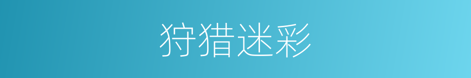 狩猎迷彩的意思