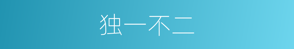 独一不二的同义词