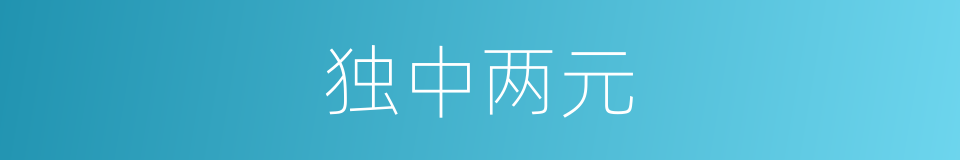 独中两元的同义词