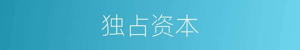 独占资本的意思