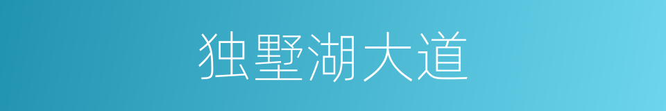 独墅湖大道的同义词