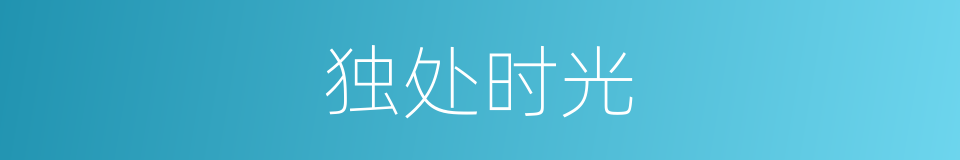 独处时光的同义词