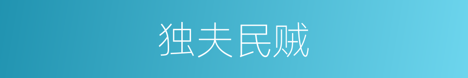 独夫民贼的意思
