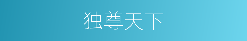 独尊天下的同义词