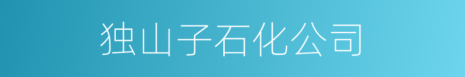 独山子石化公司的同义词