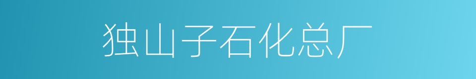 独山子石化总厂的同义词