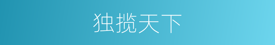 独揽天下的同义词