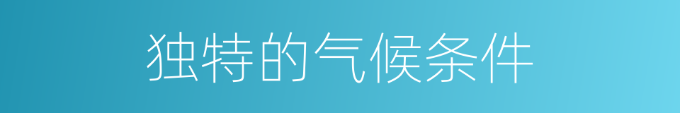 独特的气候条件的同义词