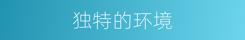 独特的环境的同义词