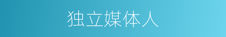 独立媒体人的同义词