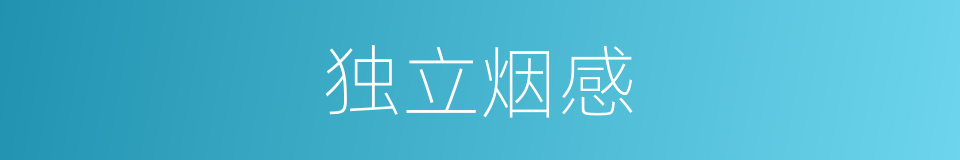 独立烟感的同义词